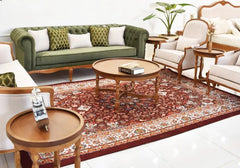 Brown color classic sofa set