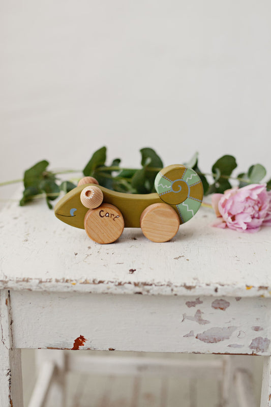 Cute Wooden Lizard Kids Toy