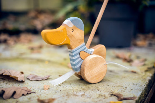 Wooden Duck Push Toy for Toddlers