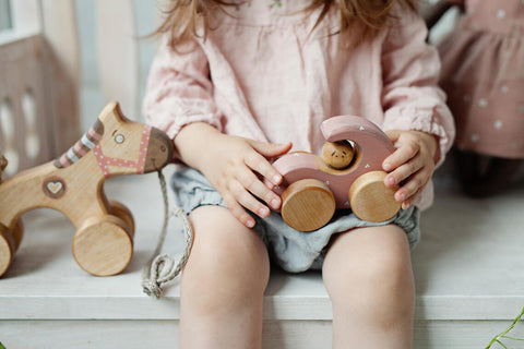 Wooden Pull Toy Horse for Kids