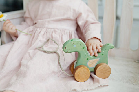 Cute Wooden Dinosaur Kids Toy