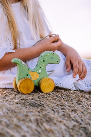 Cute Wooden Dinosaur Kids Toy