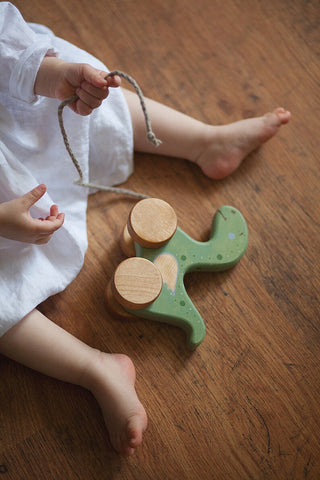 Cute Wooden Dinosaur Kids Toy