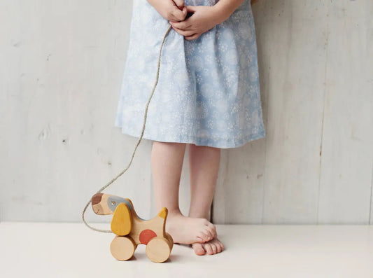 Cute Wooden Dog Toy For Kids