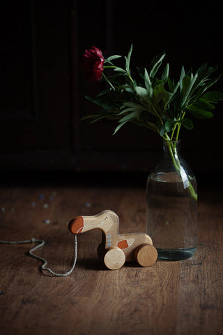 Delightful Wooden Dodo Bird Pull Toy